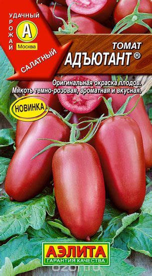 Томат Адъютант: ОТЗЫВЫ (20), фото, урожайность, описание и ...