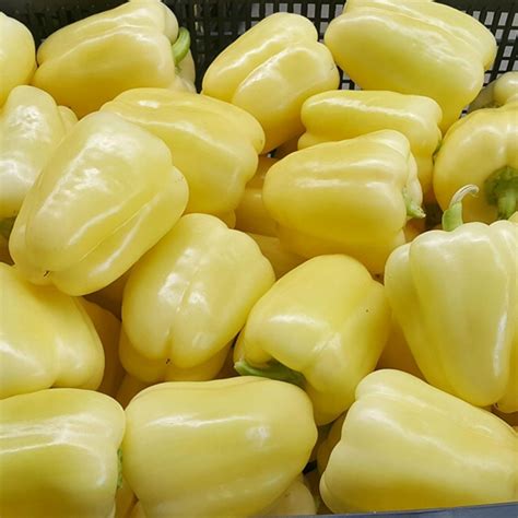 Semi di peperone bianco BELINDA - Prezzo €2.65