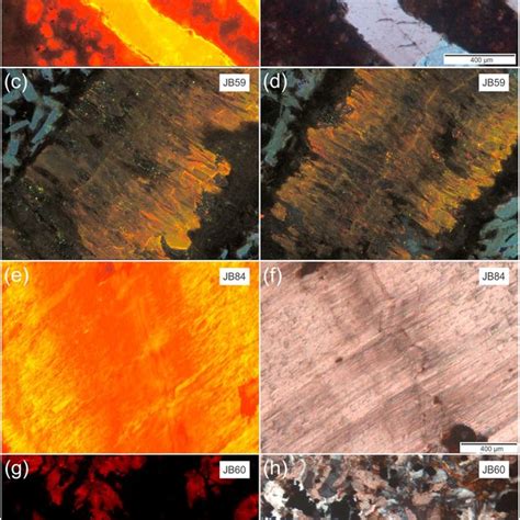 Cathodoluminescence images and microphotographs of various samples. (a ...