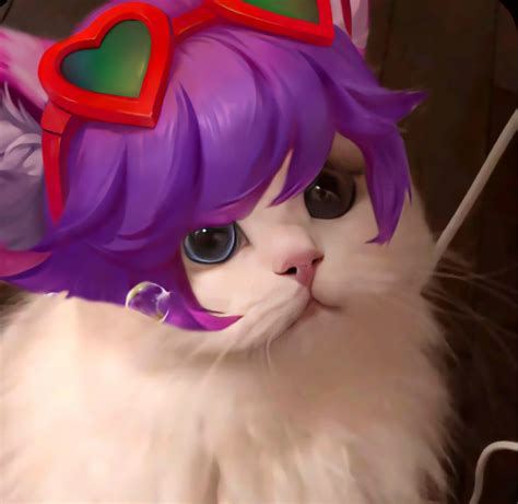 mobile legend wallpaper discover  mlbb pfp ideas   pinterest