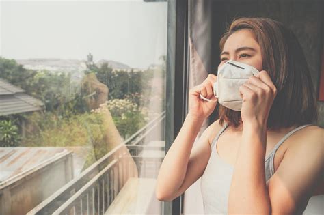 Common Indoor Air Pollutants - Zeppelin Cleaning Services