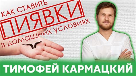 ПИЯВКИ. КАК СТАВИТЬ в домашних условиях? Тимофей Кармацкий - YouTube