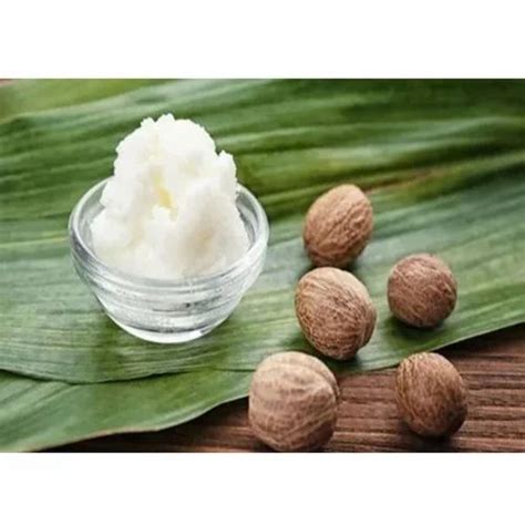 refined shea butter shea butter refined trader retailer  ghaziabad