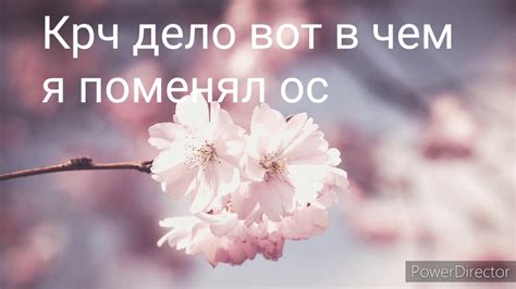 Новые НОВОСТИ - YouTube