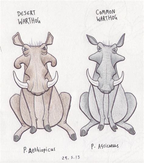 Desert and common warthog by Dark-Hyena on DeviantArt