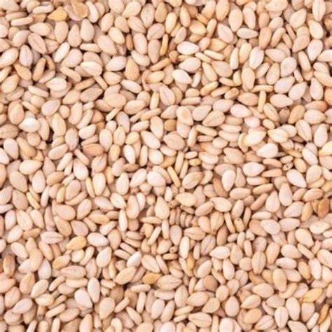 sesame seeds natural kg bulk bag wholesale price shop