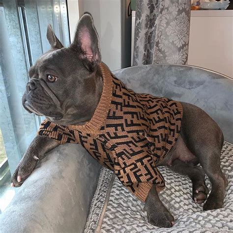 fendi dog clothes Pet Puppy, Pet Dogs, Cute Dog Clothes, Dogs In ...