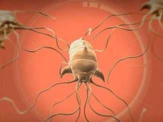 Plague Inc: Evolved - How to Beat Nano-Virus (Normal)