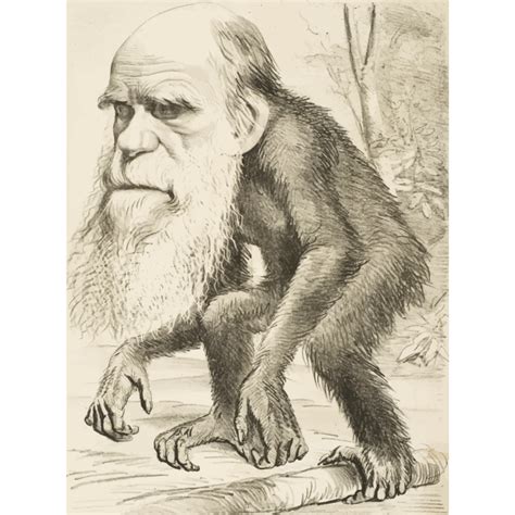 Charles Darwin ape | Free SVG