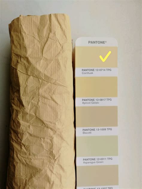 Тайвек tyvek тонкий 75г/м. Нюдовый в интернет-магазине на Ярмарке ...
