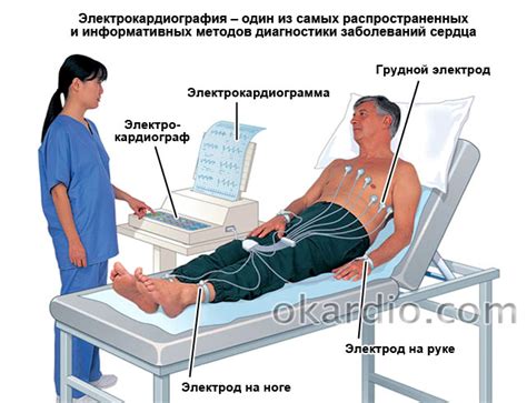 ЭКГ: что это, расшифровка, показатели нормы (таблица)
