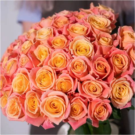 Мисс Пигги Miss Piggy - купить в Донецке, Волновахе и ДНР по цене - 300₽