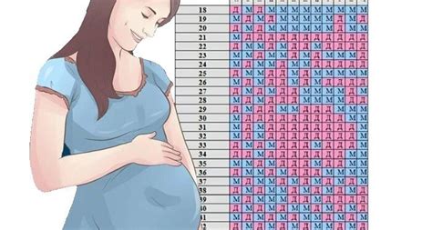 Как узнать точную дату зачатия? Выяснилось это просто, достаточно...