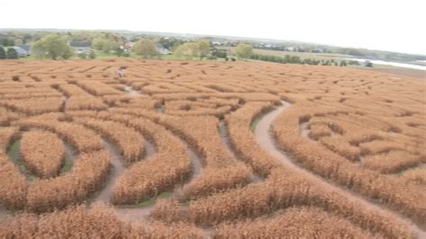 design  worlds largest corn maze  suburban