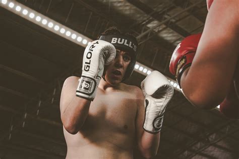 boxer fighting      boxer fighting stock