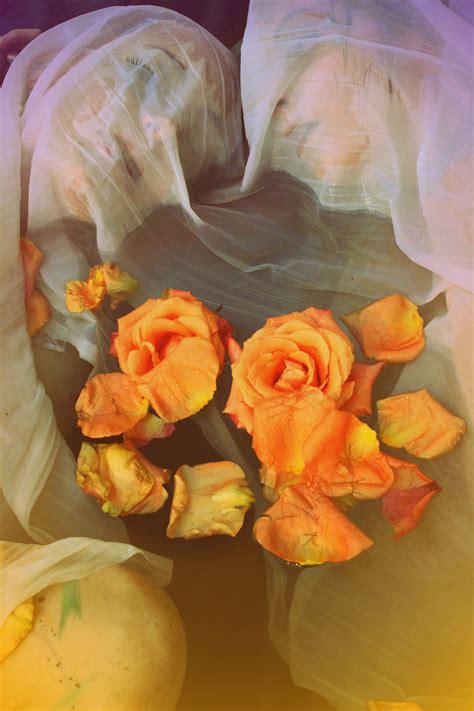 Photography — AMBER MICHAEL