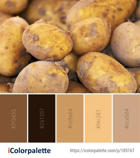 1 Russet Burbank Potato Color Palette ideas in 2024 | iColorpalette