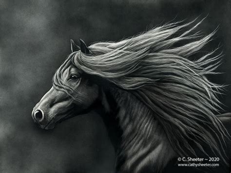 Scratchboard Art of Cathy Sheeter - "Imperial"