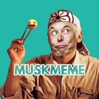 MUSK MEME price today, MUSKMEME to USD live price, marketcap and chart ...