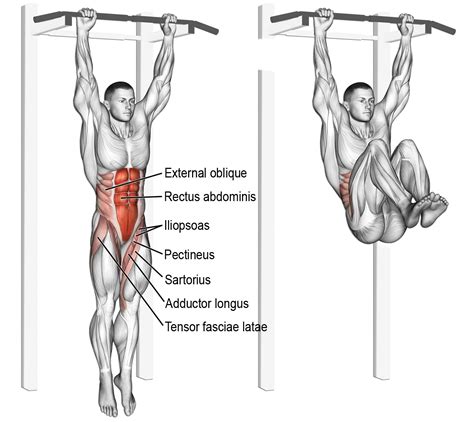 hanging leg  hip raise exercise