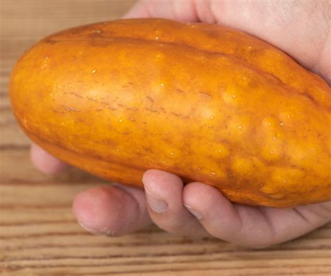 Why are my cucumbers turning yellow? And how to fix them | Homes & Gardens
