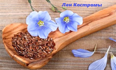 Лен Костромы интернет магазин от производителя!