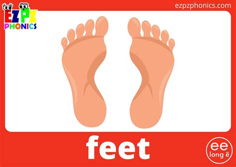 ee words list long  vowel sounds flashcards  images  words