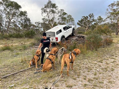 Lydia Rotary - Lydia Rotary updated her cover photo.