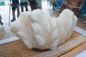 The worlds largest pearl to have ever been found, The person who found ...