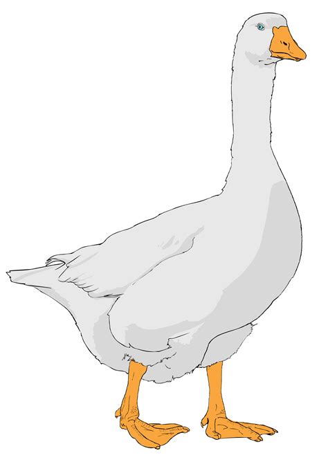 clip art goose 7