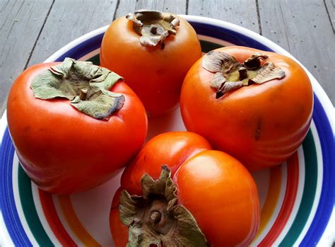 passion  persimmons cynthia david