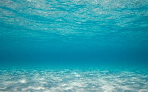 Under The Sea Wallpapers - Top Free Under The Sea Backgrounds ...