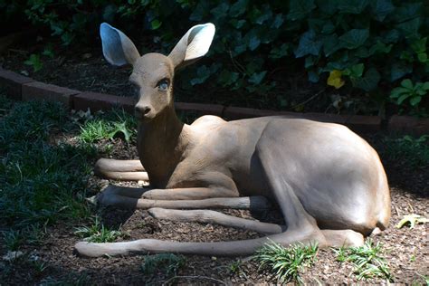 Art reveals a creative, historical side to Foggy Bottom neighborhood