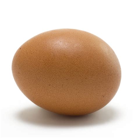 sunshine farms organic large eggs neymarfarm