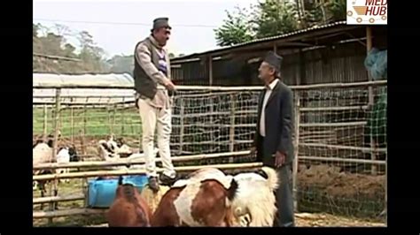 meri bassai  april  full episode youtube