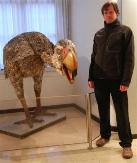 Prehistoric Terror Birds