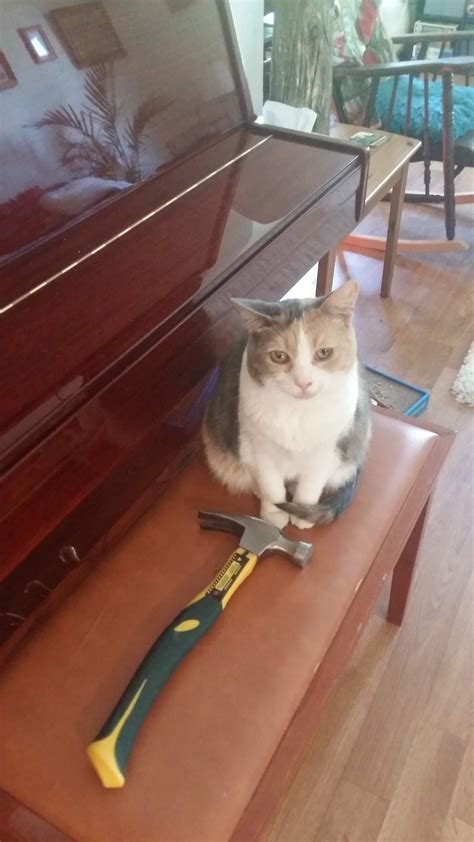 Lietka will use this tool to build her empire : r/lietka