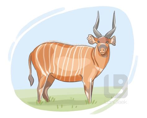 Definition & Meaning of "Bongo" | LanGeek