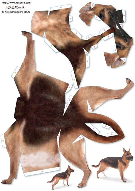 Plantillas de animales en 3D