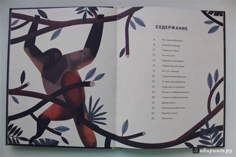 Книга: Без ума от обезьян - Оуэн Дэйви. Купить книгу, читать рецензии ...