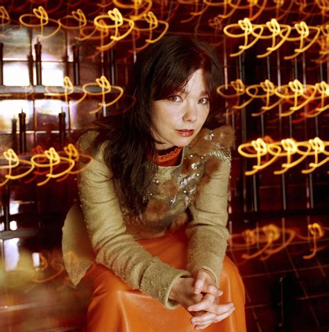 Bjork photo 150 of 186 pics, wallpaper - photo #362735 - ThePlace2
