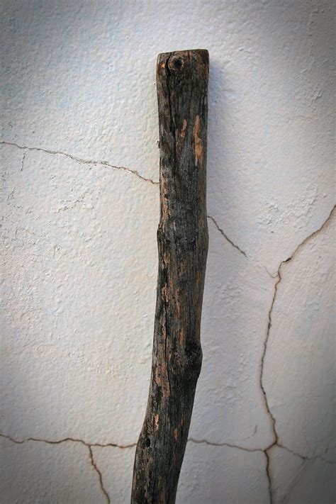 stick   broom  stock photo public domain pictures