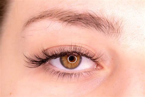 Cat Eye Eyelashes: Are They Right For You? – ambassadorbrattle