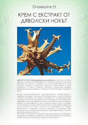 Crevil немска билкова козметика: Балсам Дяволски Нокът