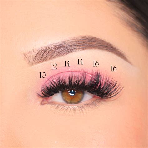 Dramatic set | Lashes fake eyelashes, Fake eyelash makeup, Cluster