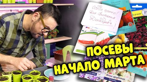 Что посеять в начале марта? 1 неделя марта / календарь дачника - YouTube