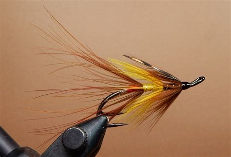 Caddis fly patterns – Artofit