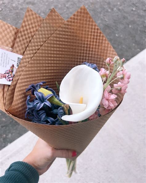 Alison Maloni (@alisonmaloni) • Instagram photos and videos