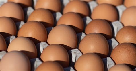 les oeufs font des heureux