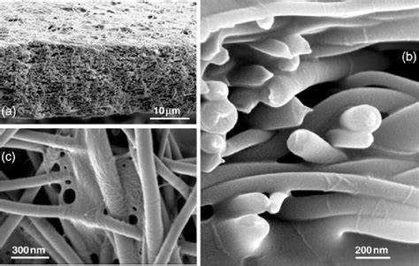 SEM images: (a) cross-sectional view of microcrystalline nano-cellulose ...